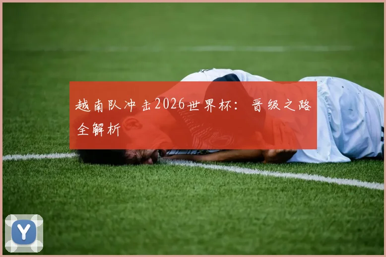 越南队冲击2026世界杯：晋级之路全解析