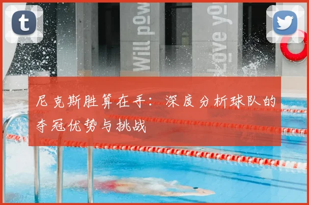 尼克斯胜算在手：深度分析球队的夺冠优势与挑战
