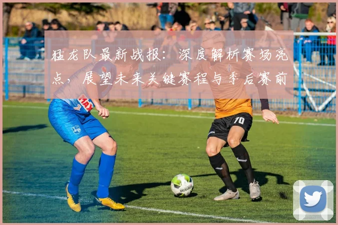 猛龙队最新战报：深度解析赛场亮点，展望未来关键赛程与季后赛前景